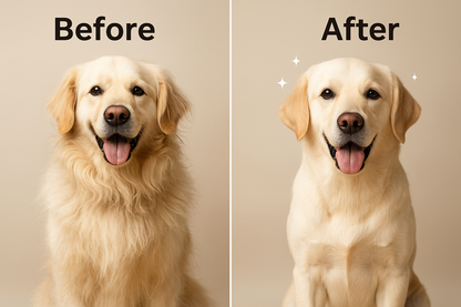 PawGlide™ Pro Grooming Vacuum